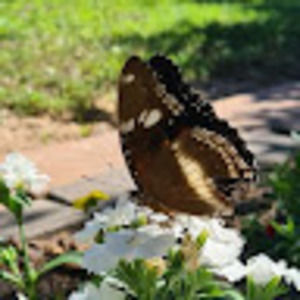 Meet your Posher, Jesse